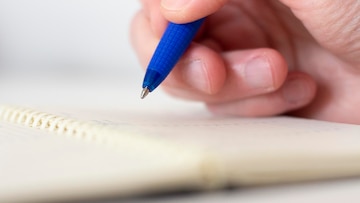 Словно птицы садятся буквы