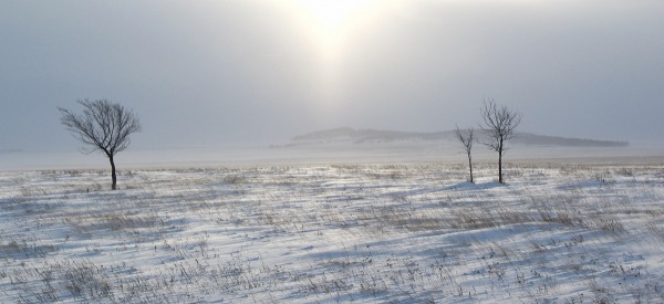 Изнанкою гор, на груди января...