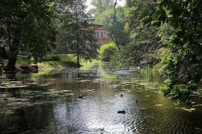 Снова в тихой шашлычной