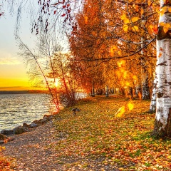 Всё тот же...