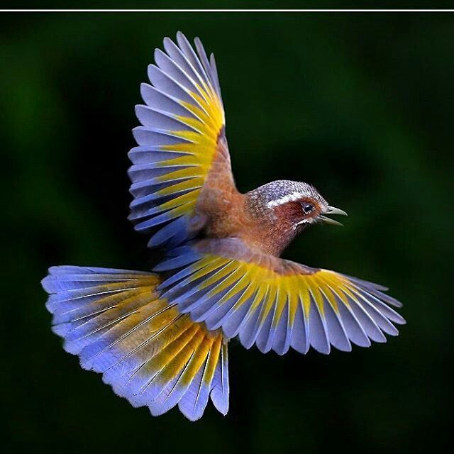 Душа солдата-2. - аудио-видеозапись вышла