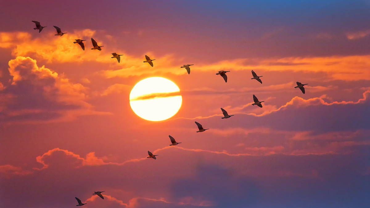 Закон Клином