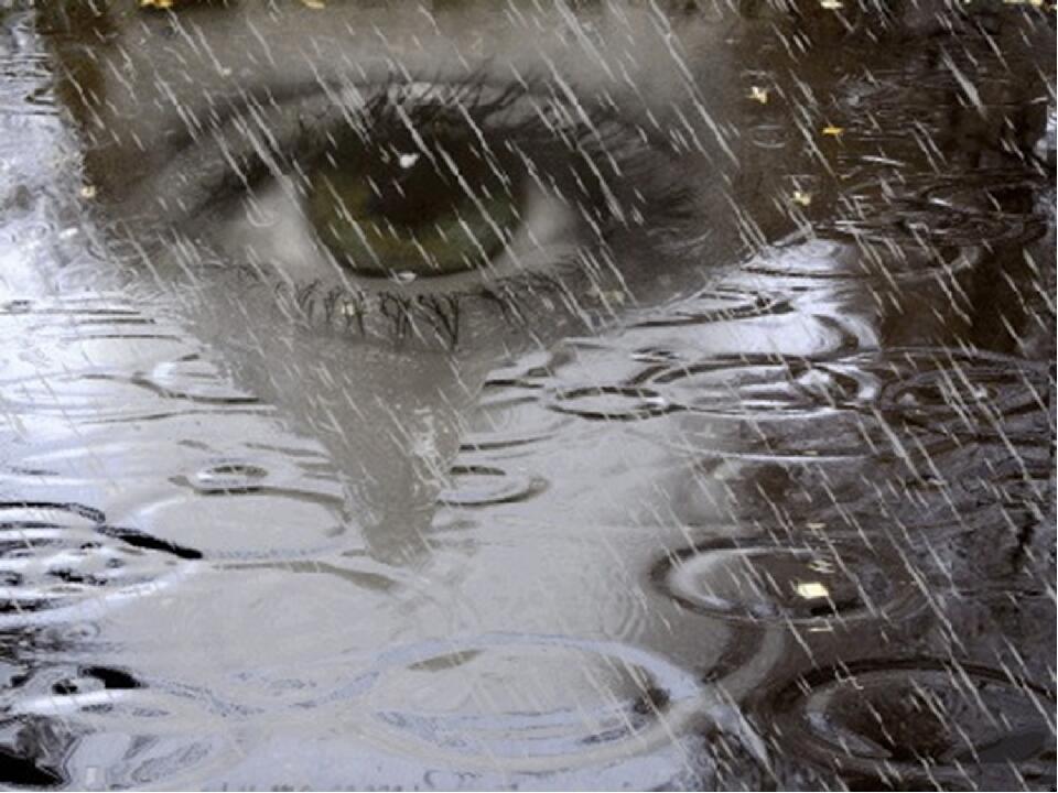 Грустные дни ноября