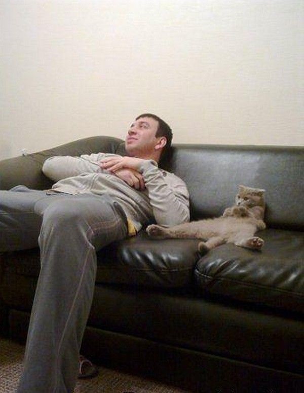 Я не диван...