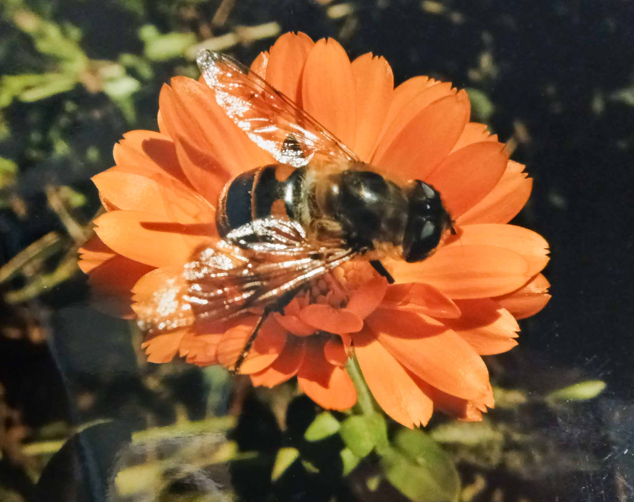 К солнцу фасадом