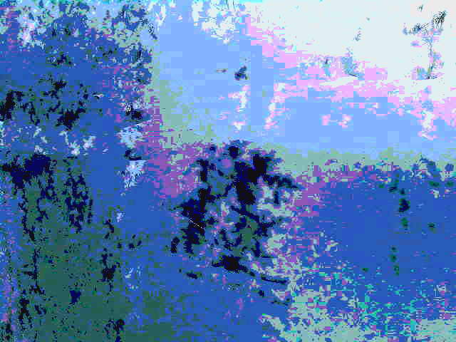 В глади озера свет - журавли...