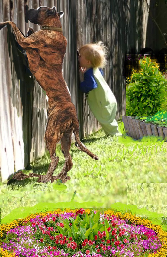 Дружный тандем