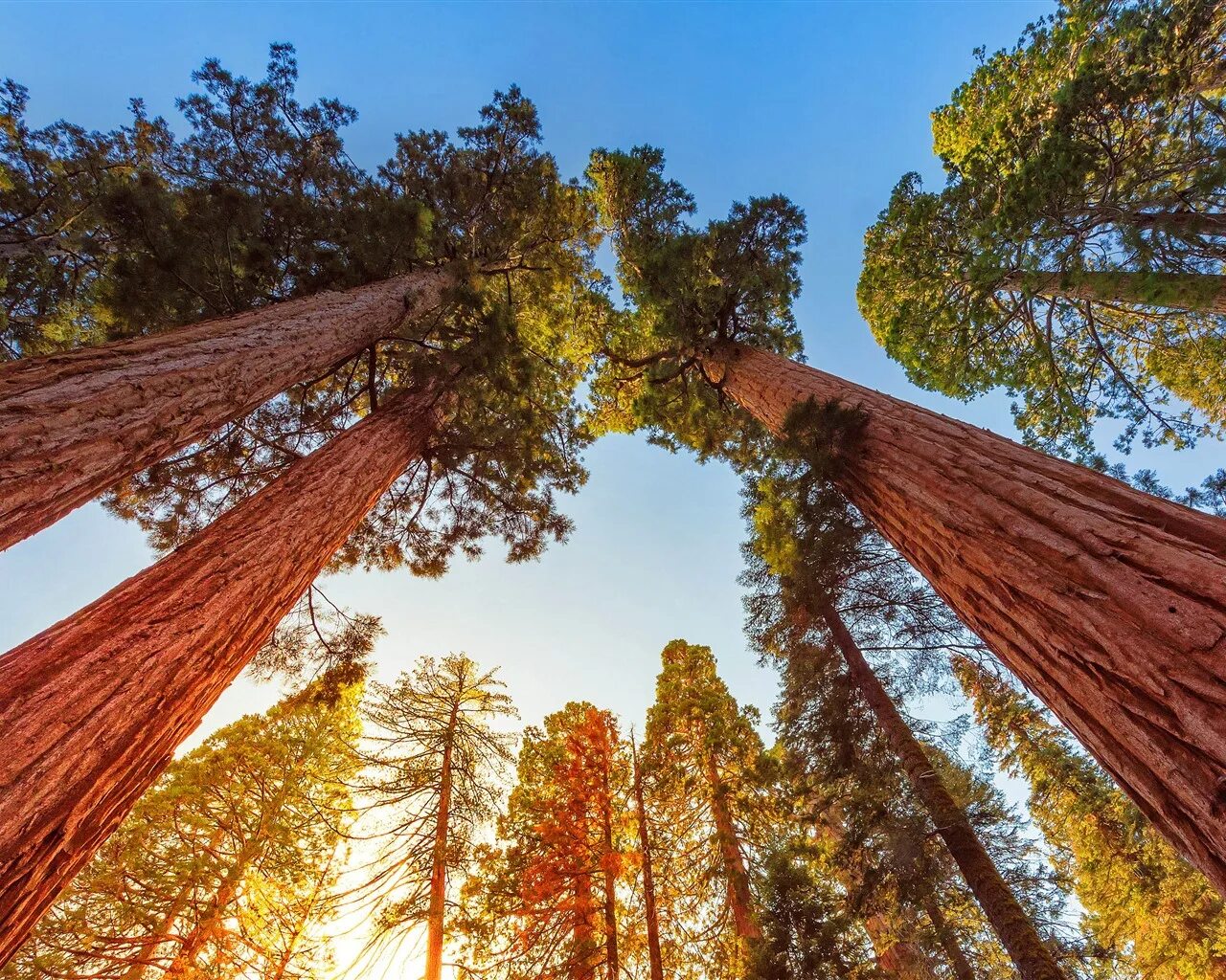 Perpetuum dialogus советовал однажды мне писатель