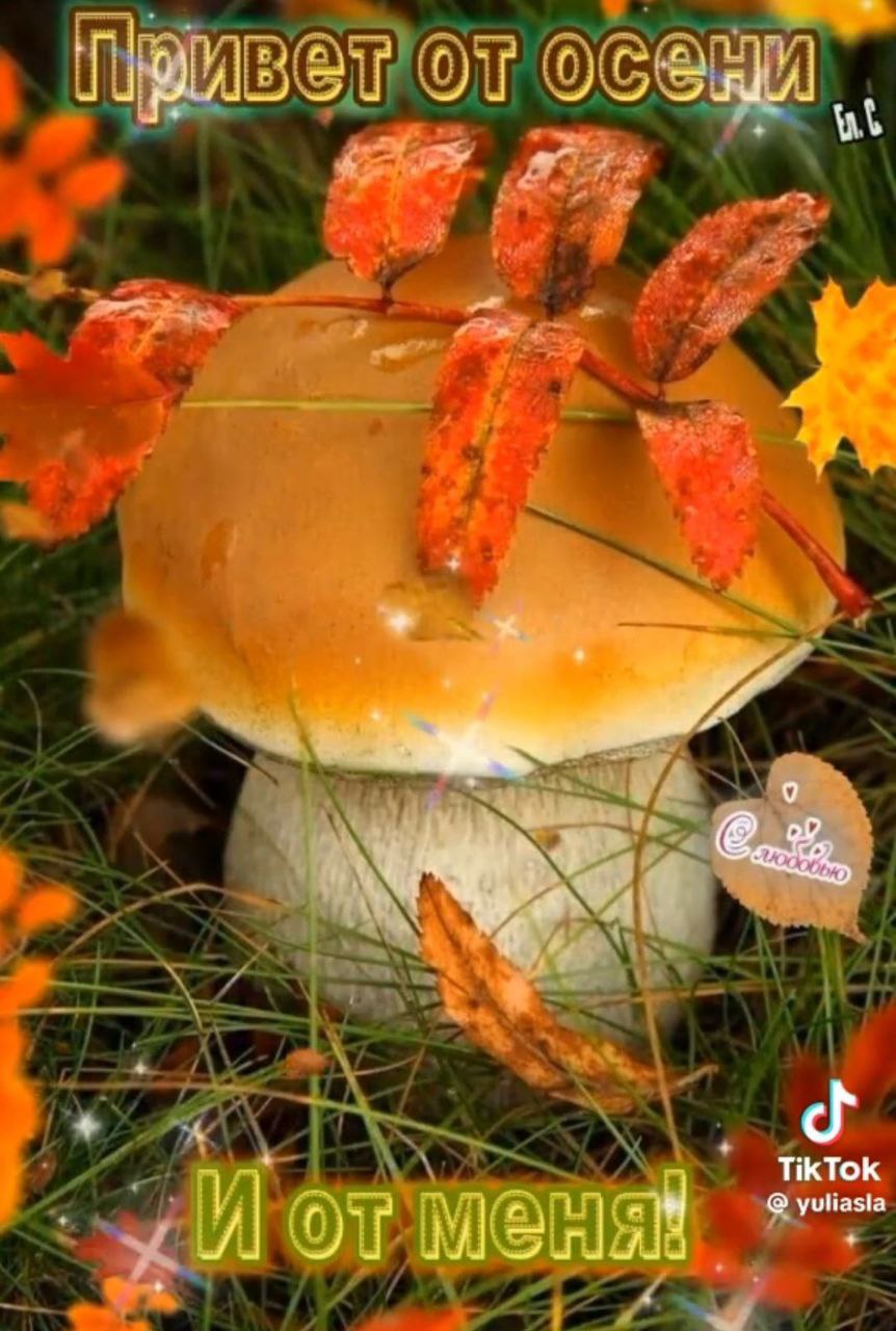 Вот такое угощение