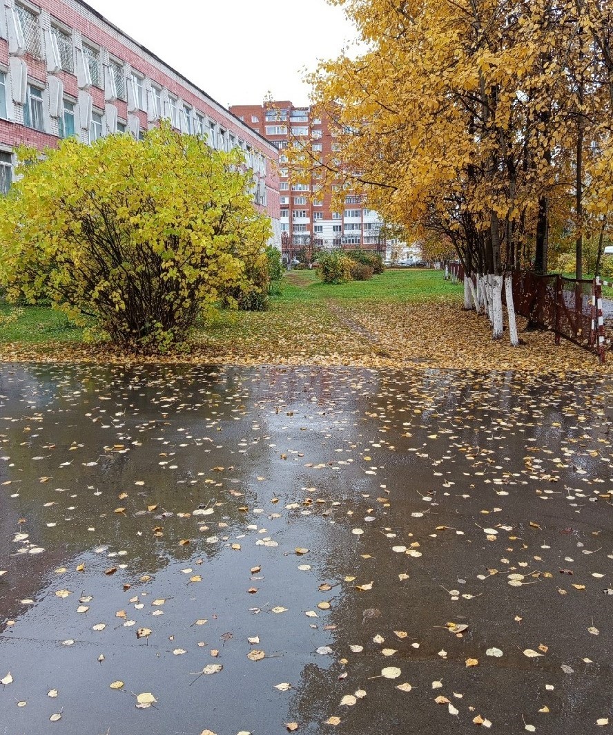 Летят листочки вниз на землю