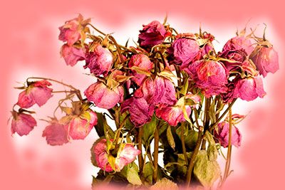 Растеряла я подруг