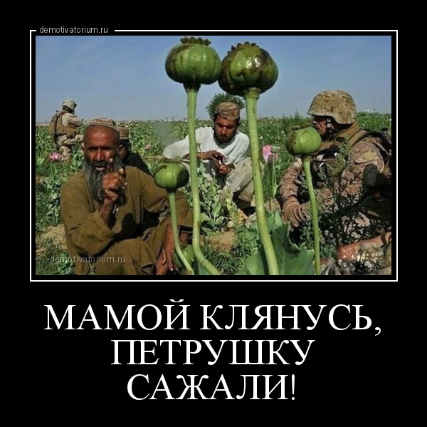 Фраза с унитаза