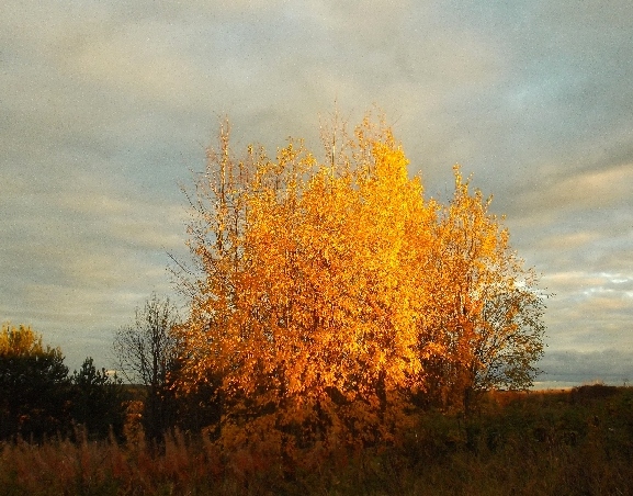 Определённая условность...
