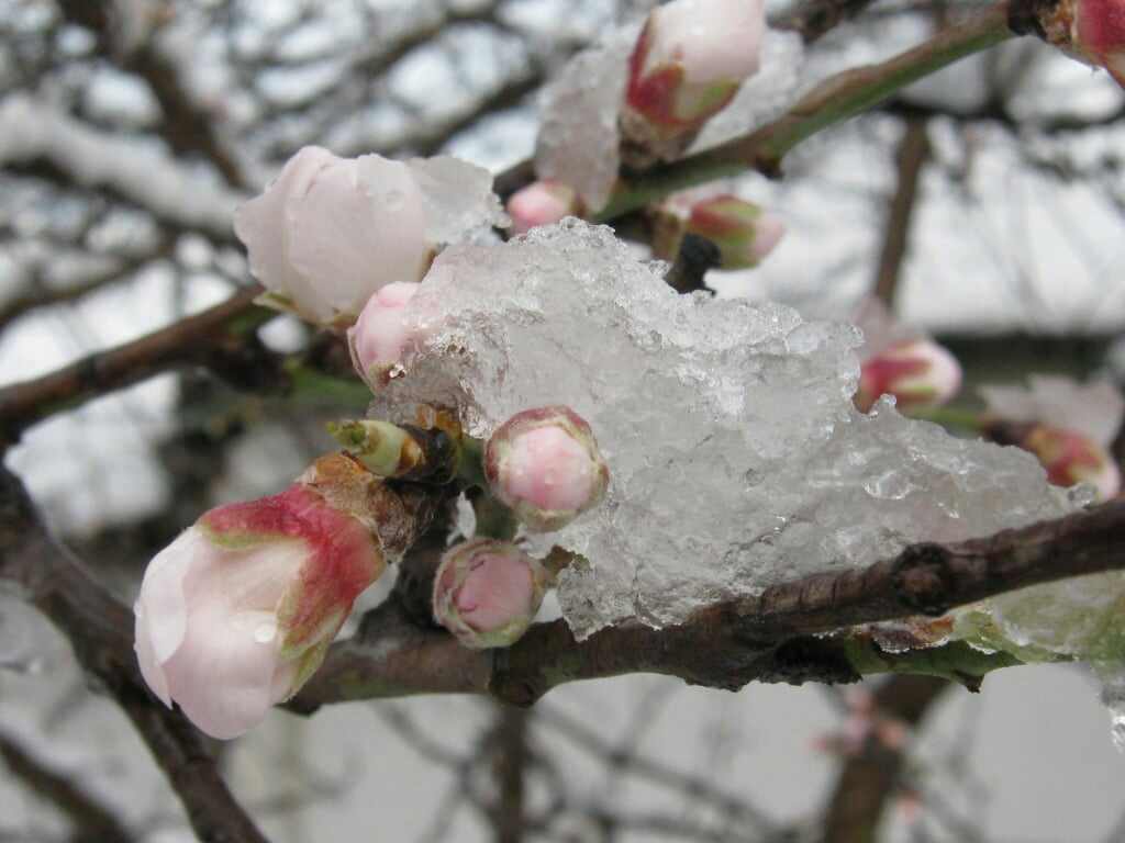 Вот ты живёшь...