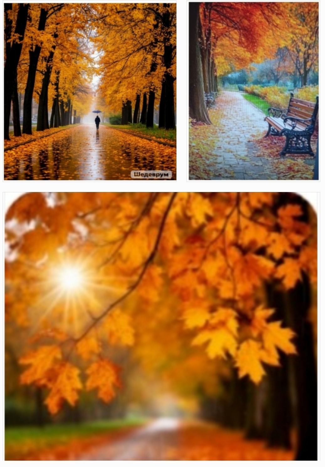 Осень полна сюрпризов