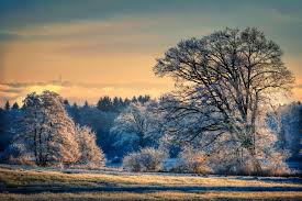 От зыбкого тумана