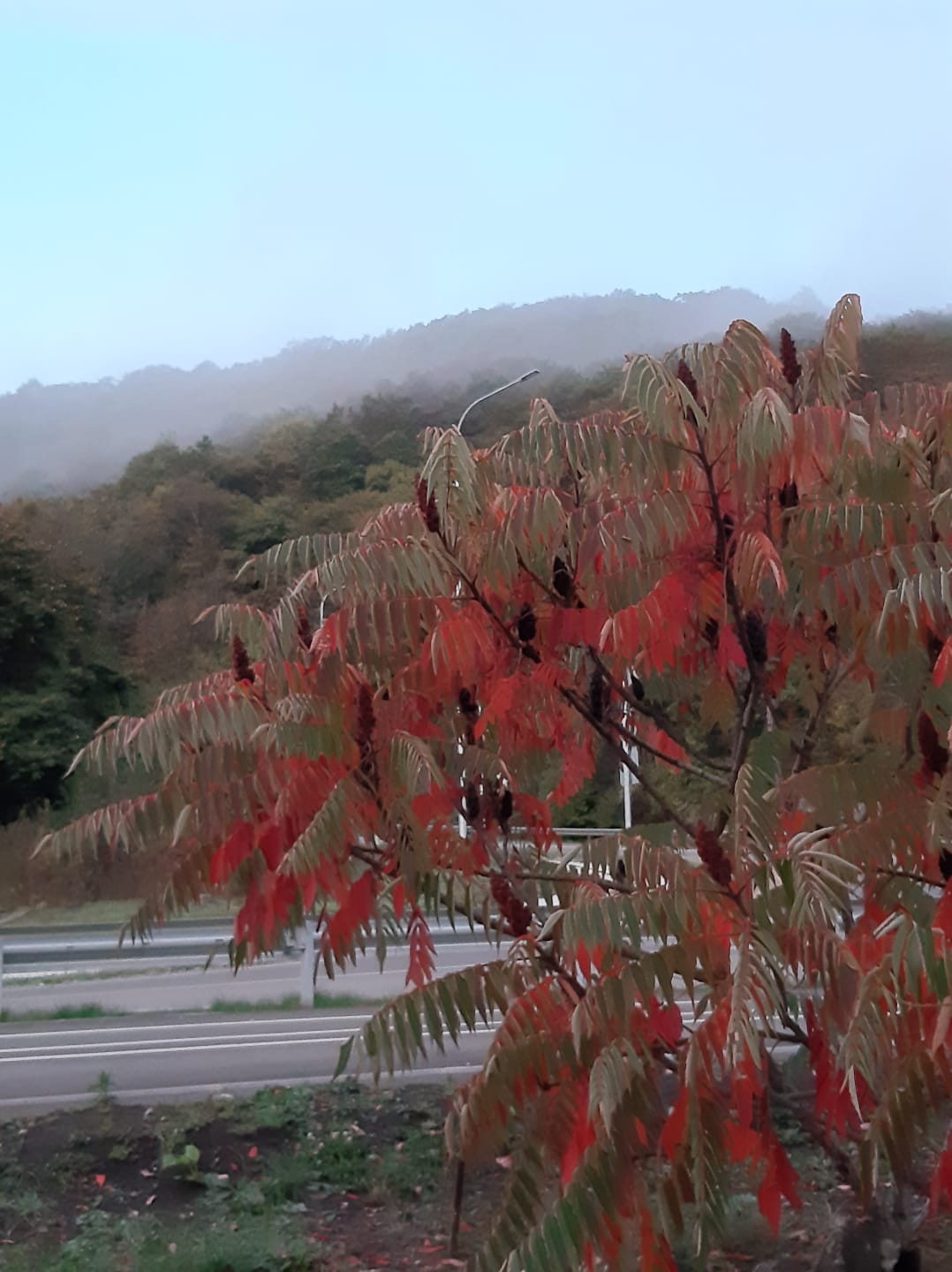 Живя, как прежде