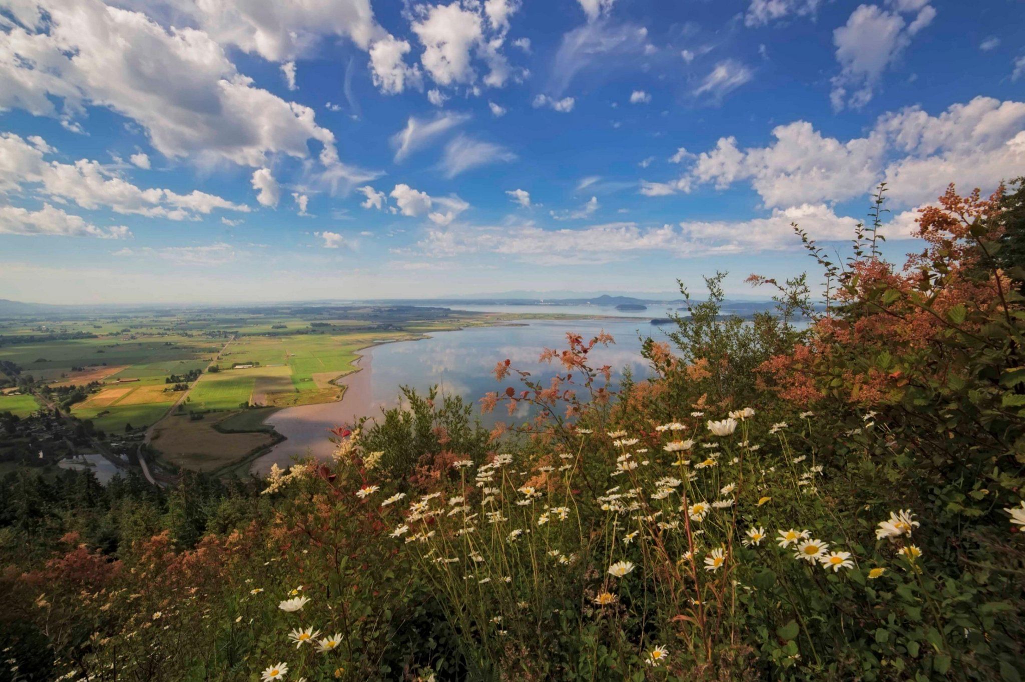 Белогривые лошадки...
