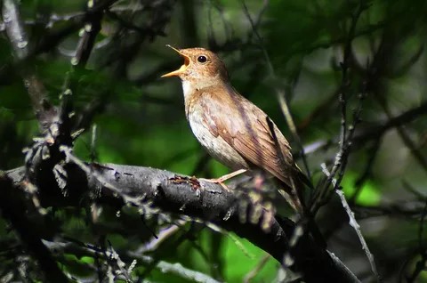 Мы и природа