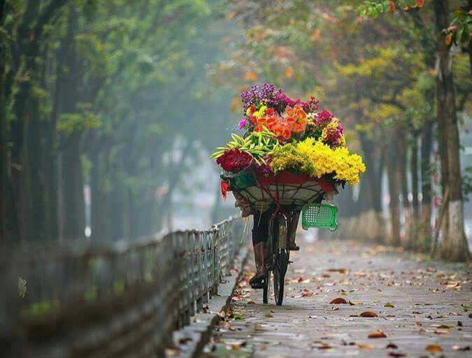 Любовь свет пути