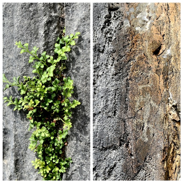 Костенец и петроглифы