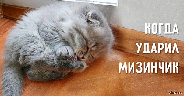 Я ударила слабого котёнка