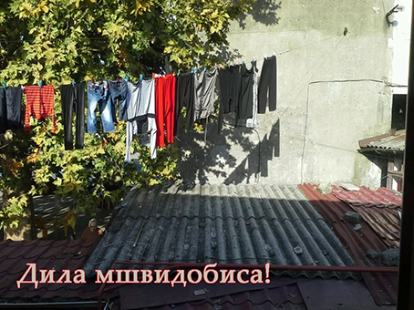 В Батуми плюс двадцать