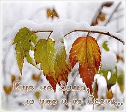 На дворе ноябрь