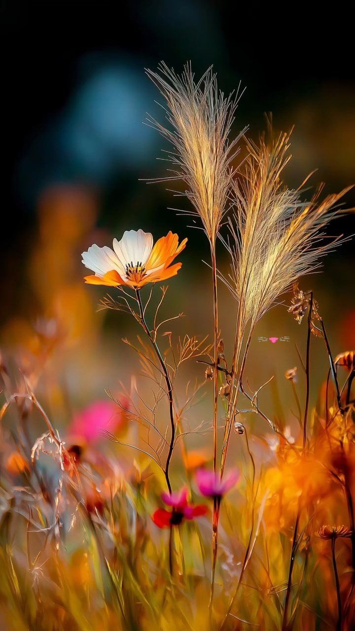 Чтобы в бездну там не пасть...