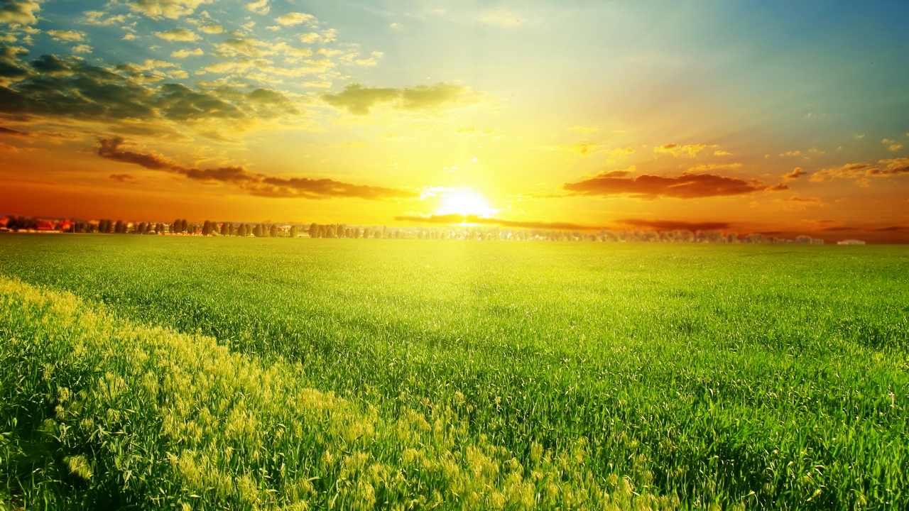 Ласкает землю тихая погода...