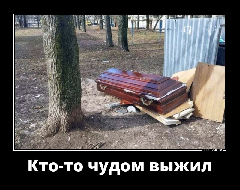 Мы давно на всё согласны!