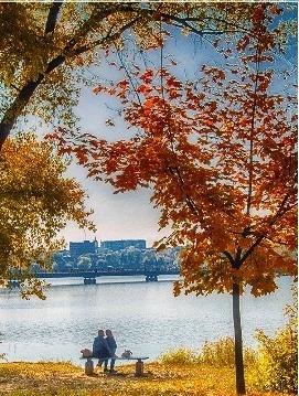 Дивный сон...