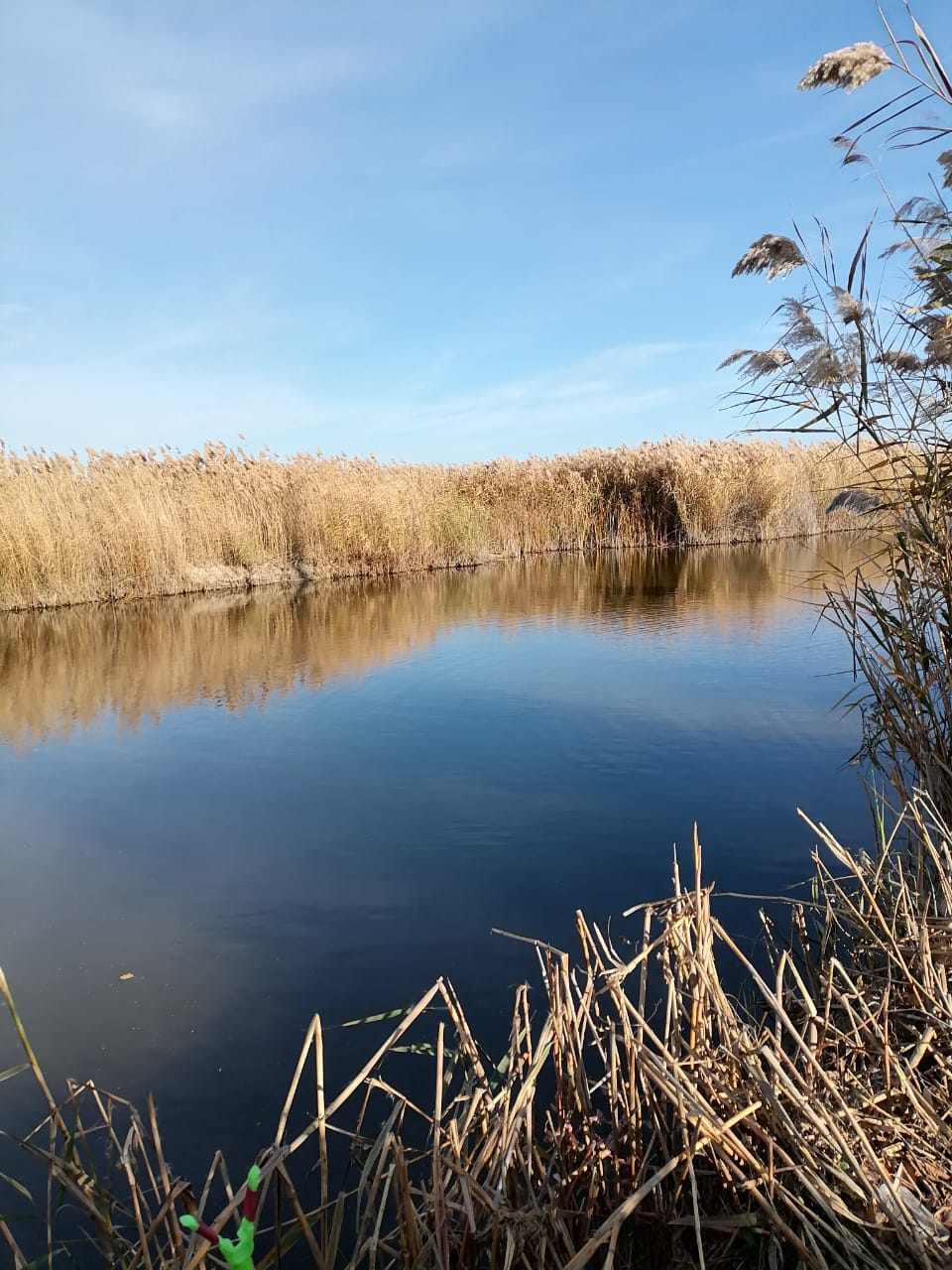 Мне фотографию мой друг прислал...