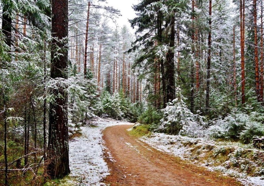 Время, чтобы мечтать