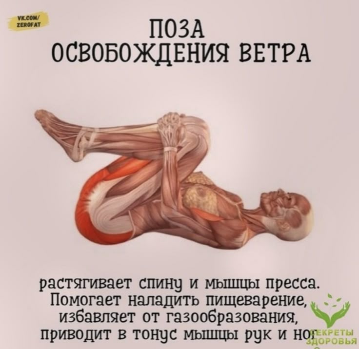 Держите тело в тонусе