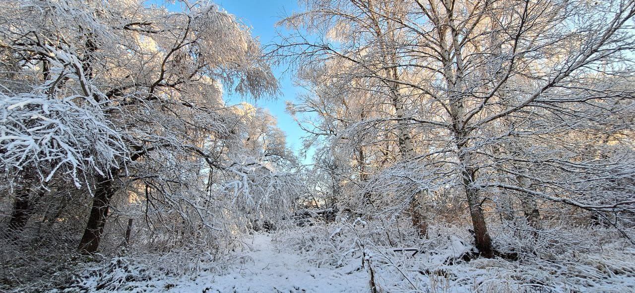 И падают снежинки, как слова
