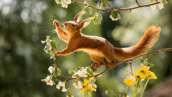 Глава 3. Эффект Еллочки