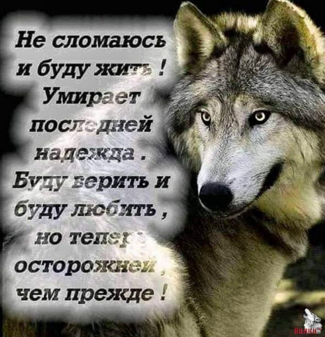 О бедном поэте... Романс