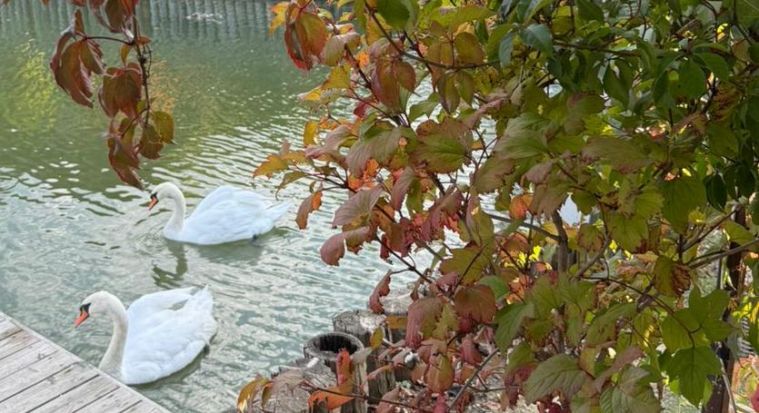 Афоризм Чтоб огонь любви не гас