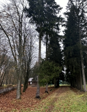 Наступил ноябрь холодный