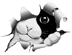 Однажды Воробей чирикнул...