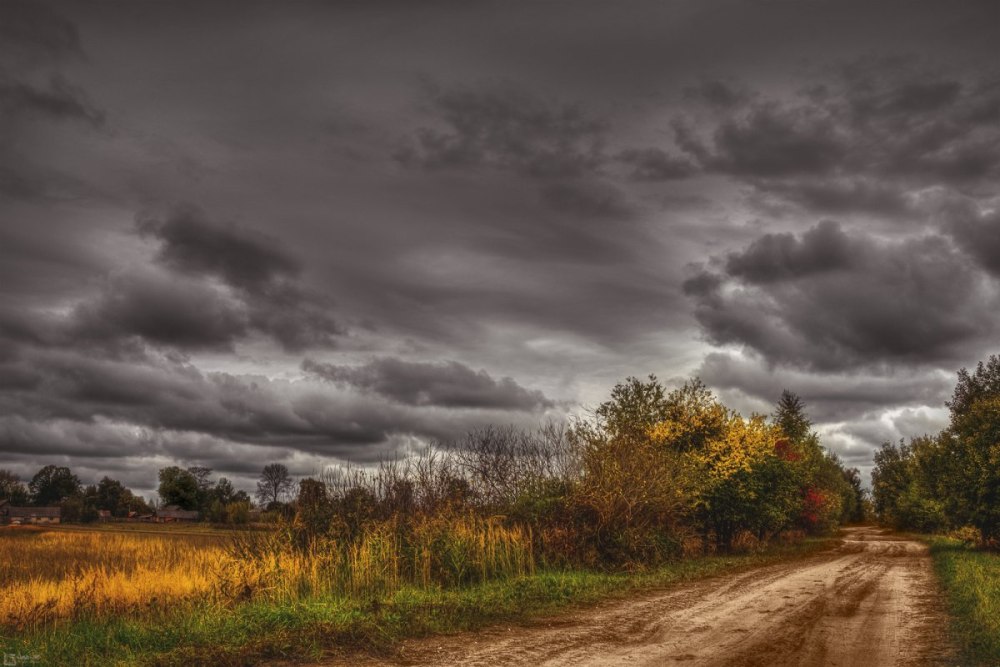 Четвёртое. Ноябрь. Холодные своды