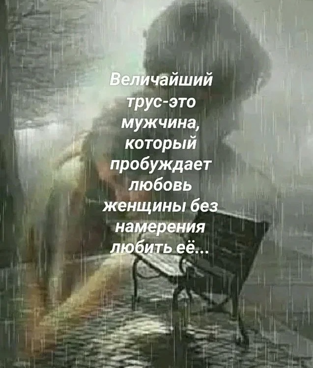 Мне не жаль