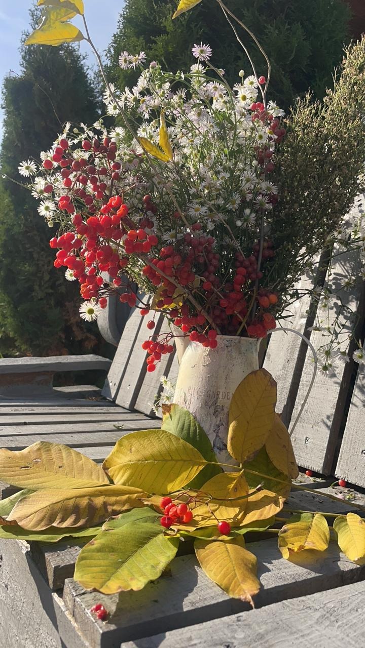 Это лето от нас далеко не ушло