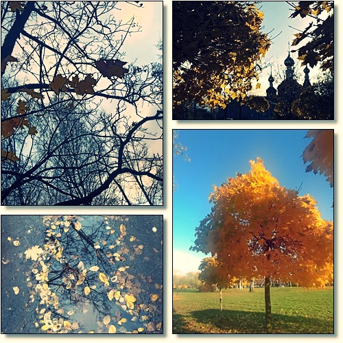 Начало ноября...