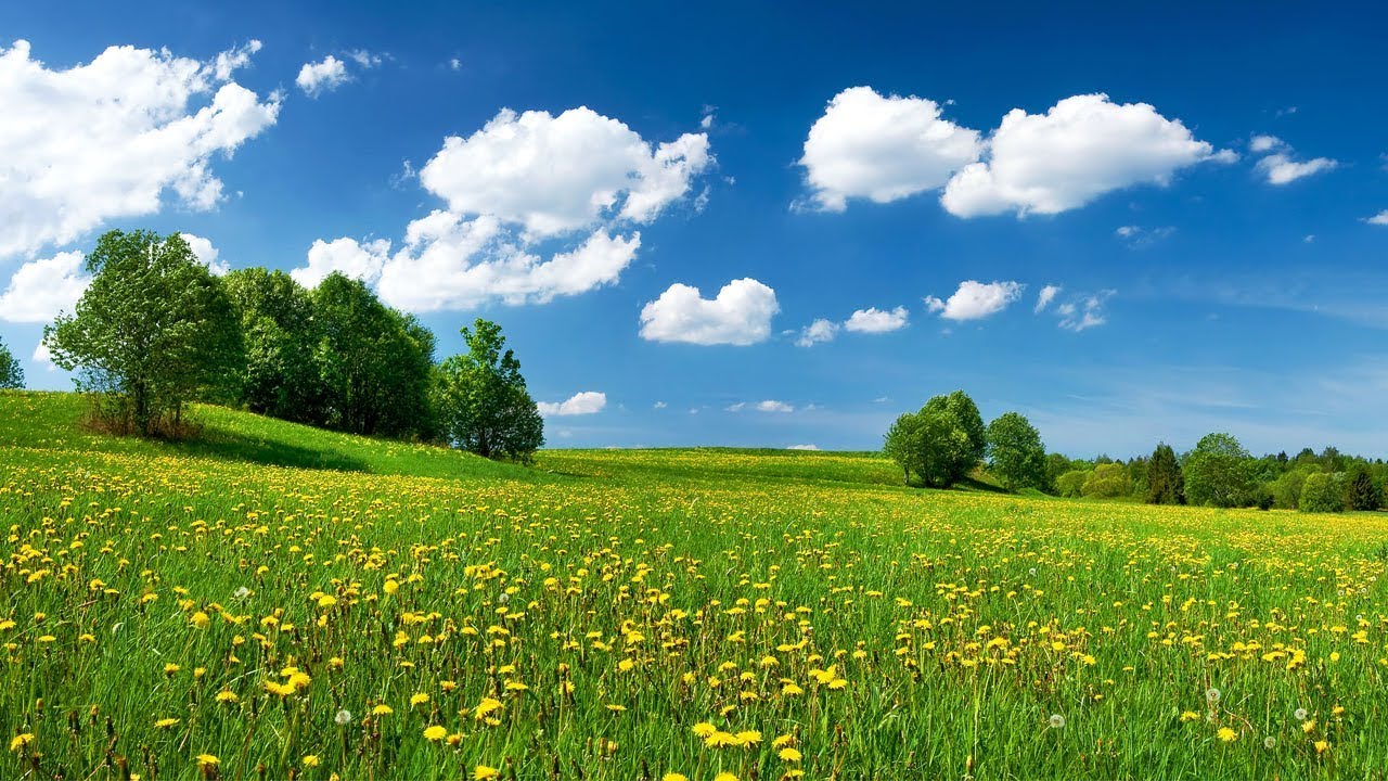 О, мгновенье, ты прекрасно!