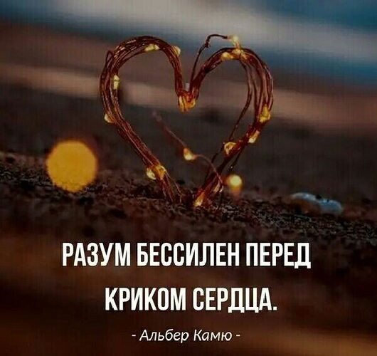 Люби рассудком