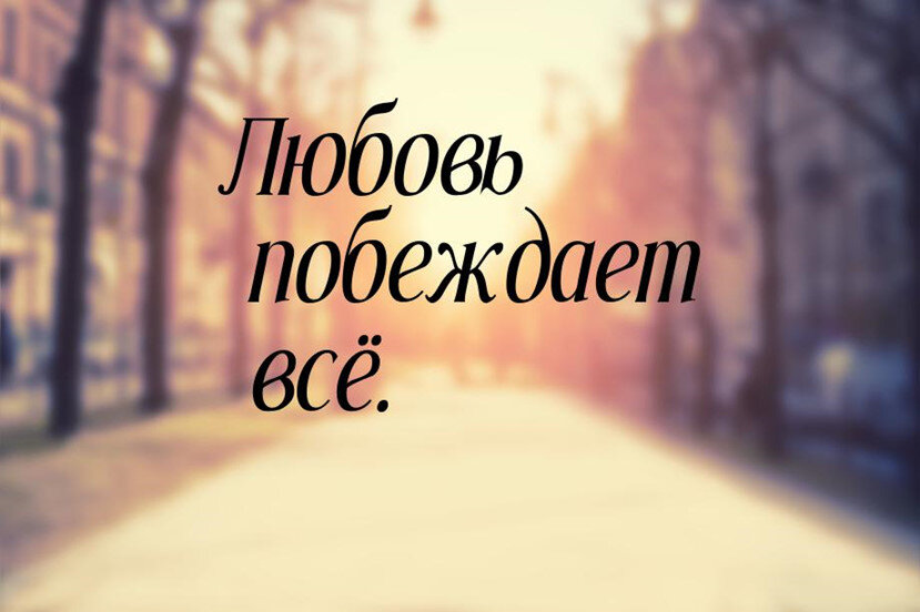 Любовь живет назло войне