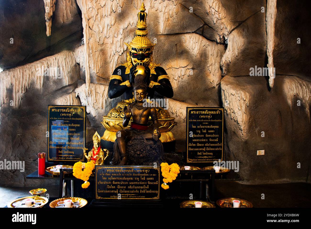 Алхимия и гомеопатия буддизма