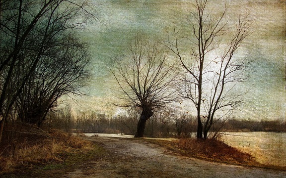 Осень. Шелли